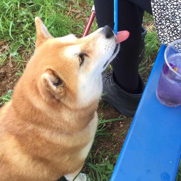 A5e86d7d fdbc 408a 8c14 4c38909d0547 1524897204121