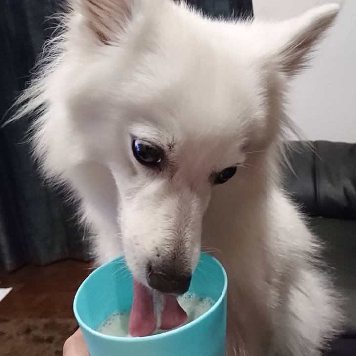 A5e878dc 861b 4d77 b623 231decdf8cde 1528898795380