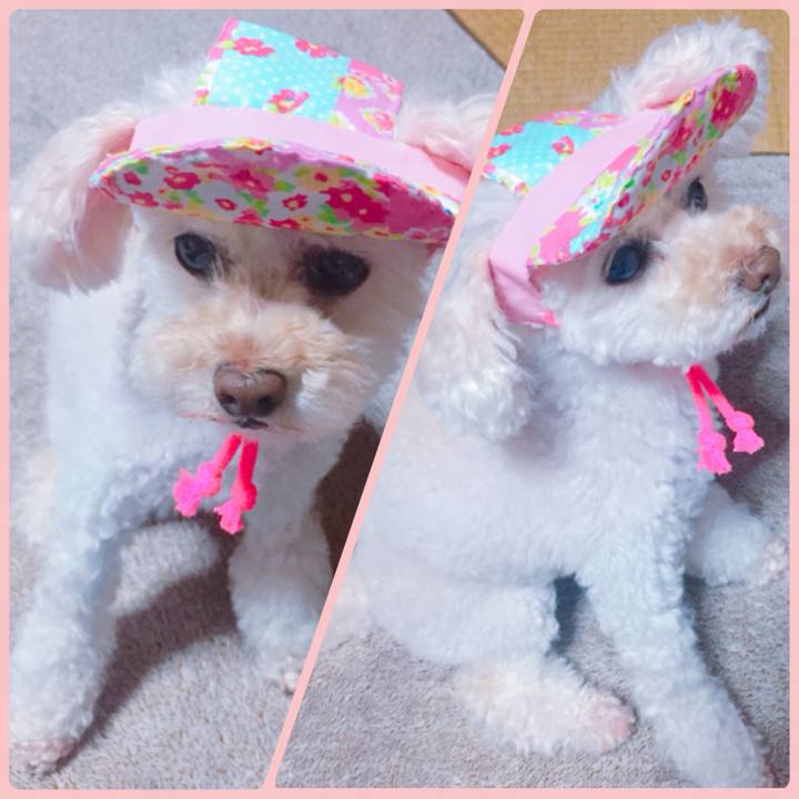 A5e8aad6 b746 4446 987e b84cc5532d3d 1530092227184