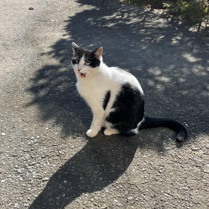 A5e8b0a7 ed5e 4b42 8cbd 2285add4e061 1636766344993