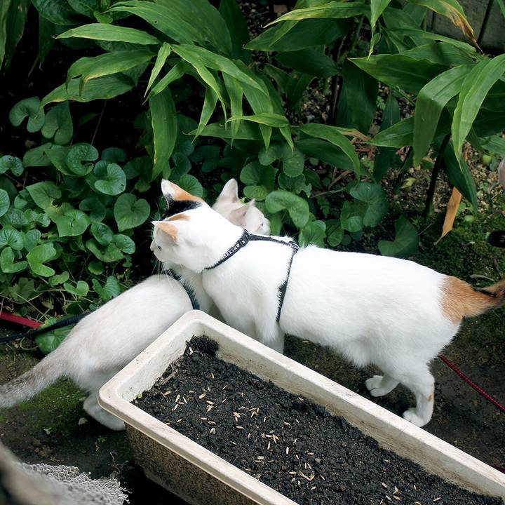 A5e8c320 098b 4453 8ef9 8391f509beca 1601468224945