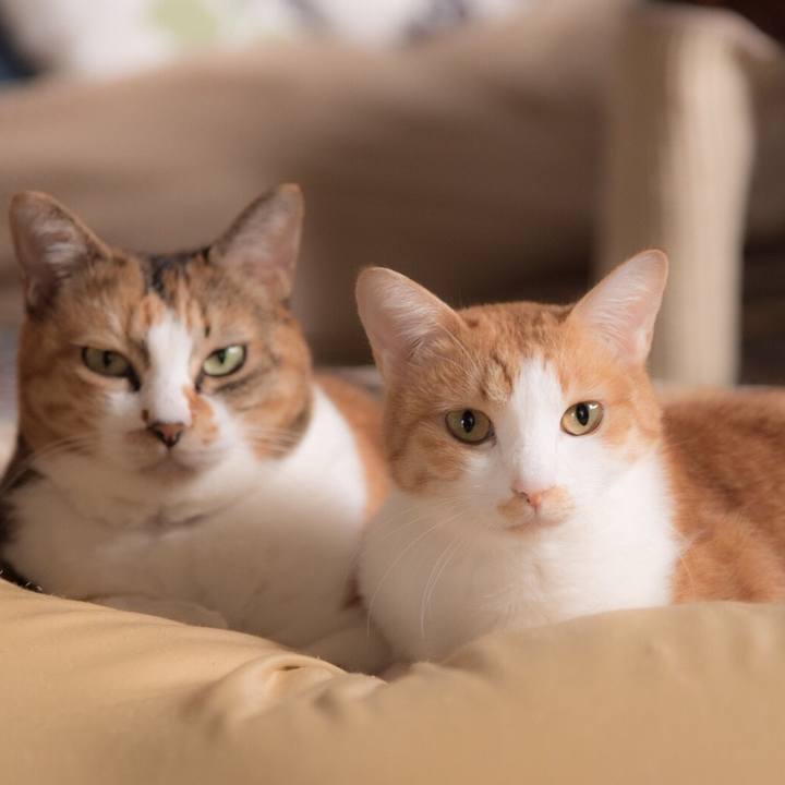 A5e9031a 37e8 4e05 a130 150b7b346371 1541290529623