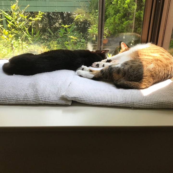 A5e9160e 4aec 4f80 b786 20ae7980165a 1528346838334