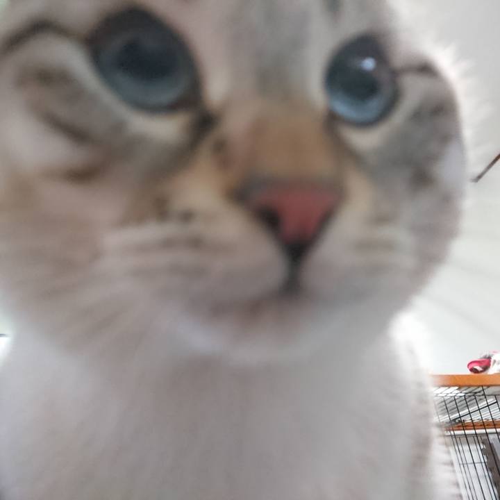 A5e91b8e 6a39 4c39 9330 3c6e28cba5b8 1576575811816