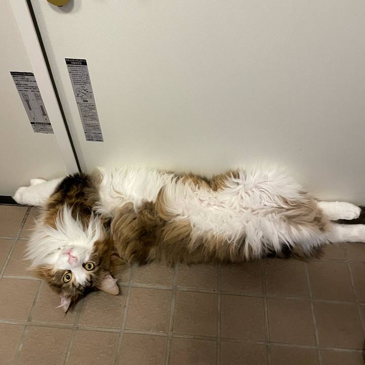 A5e923ef eee2 4a66 b5ff 18eaaefcba94 1673042793918