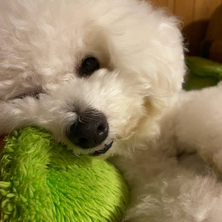 A5e93fc2 90bb 4402 ba73 5ce29b5459eb 1627562002167