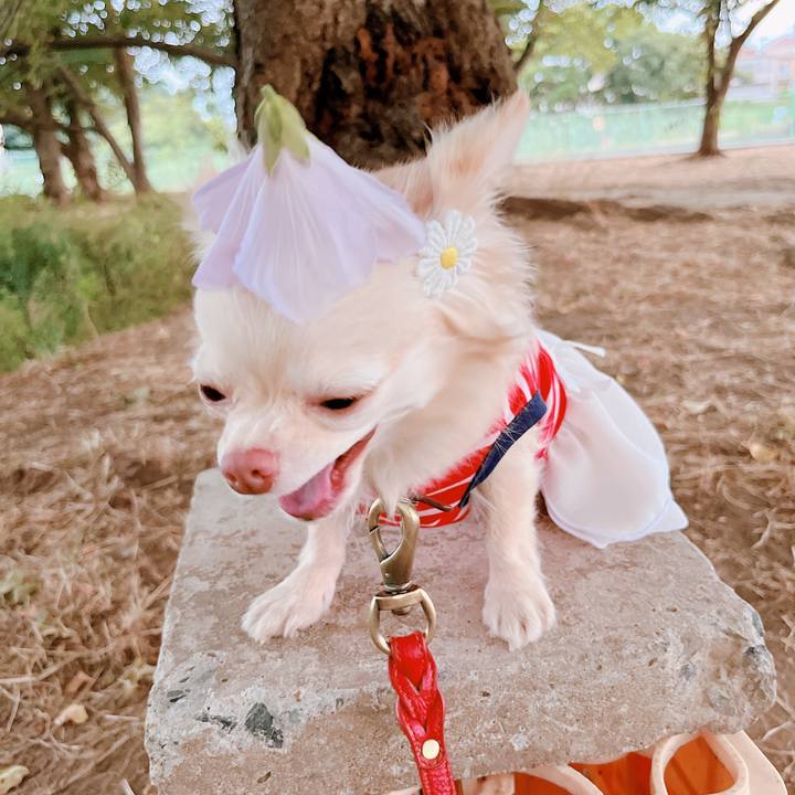 A5e975b3 5182 470e 9f00 0efed1760bc4 1656907344957