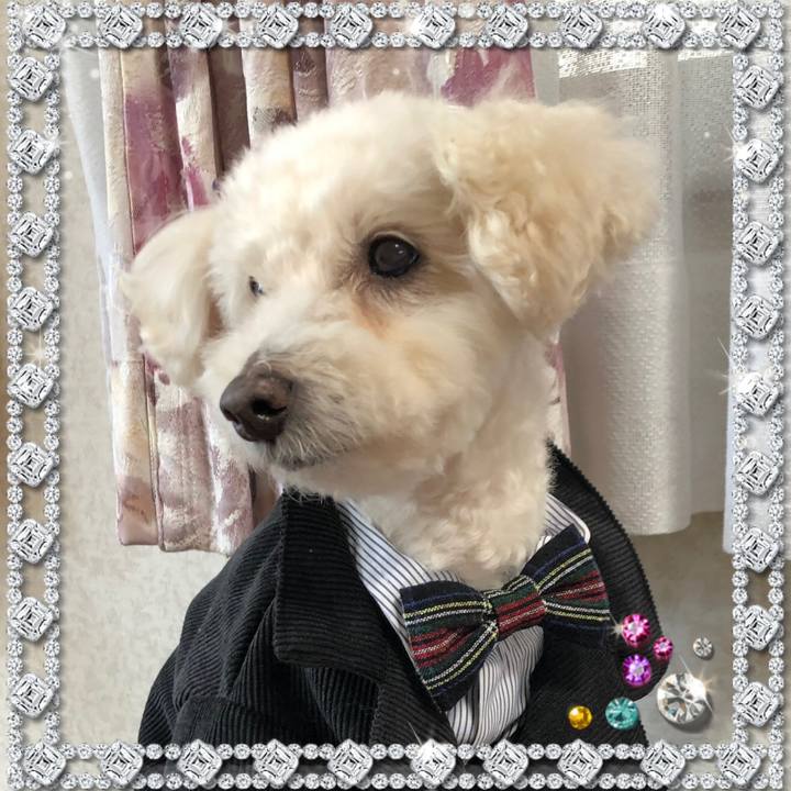 A5e9a0f7 32c5 45bd a21f 2533cf61cb05 1552573279691