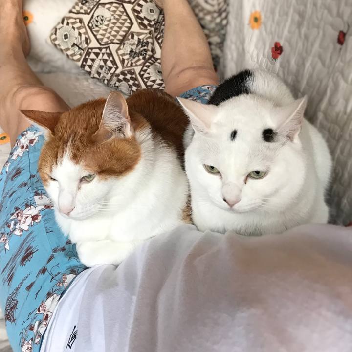 A5e9ab6a 64fe 4055 8914 658a60b74dfe 1591483603946