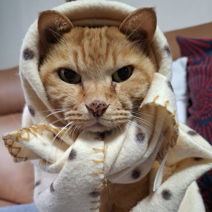 A5e9b75f 9731 4de0 be43 b44bec2d5b2d 1762912403305