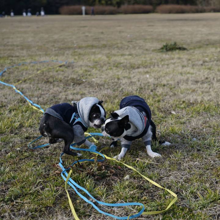 A5e9bc18 c6ac 4e23 a1a0 146b463a55ad 1518437233228