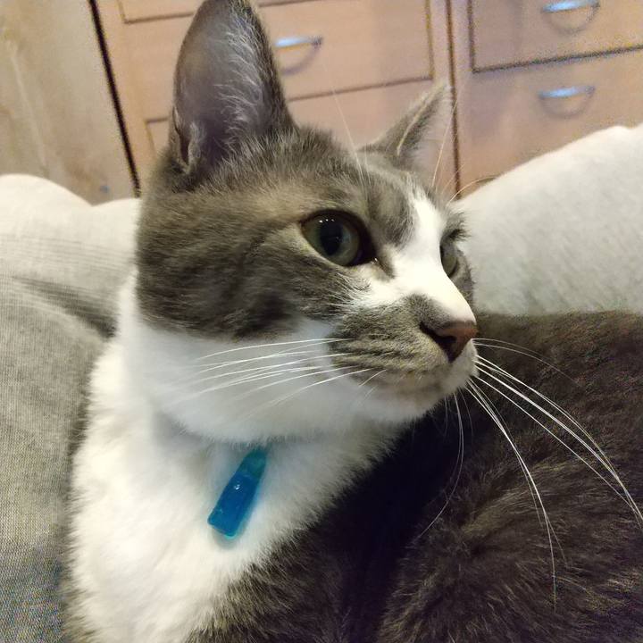 A5e9bcac 1aa5 4f4e b4fc ab5c0ba3327f 1615592458060