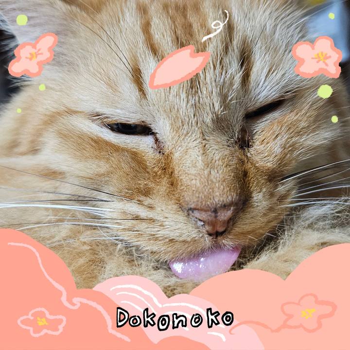 A5e9c520 9428 4593 bfff fd502c3dce9c 1775725932205