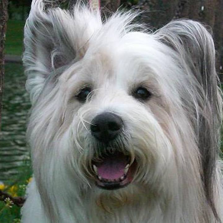 A5e9cf9e 41dd 40f1 9e33 f11856034d13 1544078001835