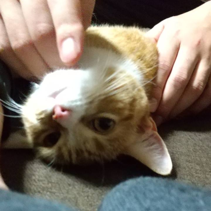 A5e9e665 d970 4c34 a1b7 86cba79b63ed 1634701751518