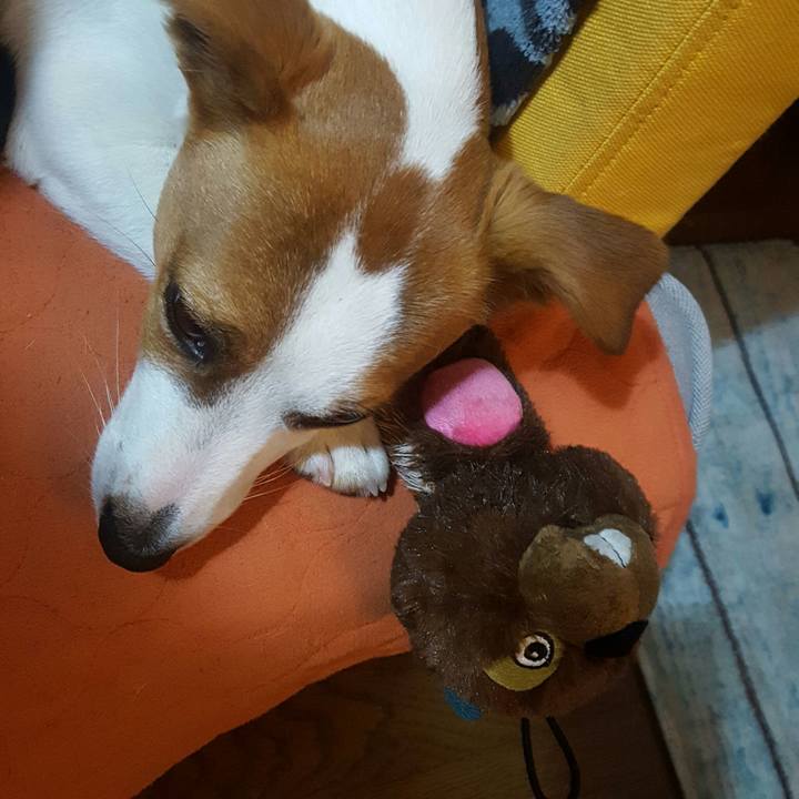 A5e9efae b48f 472f a42b aa6eef030243 1558088607130