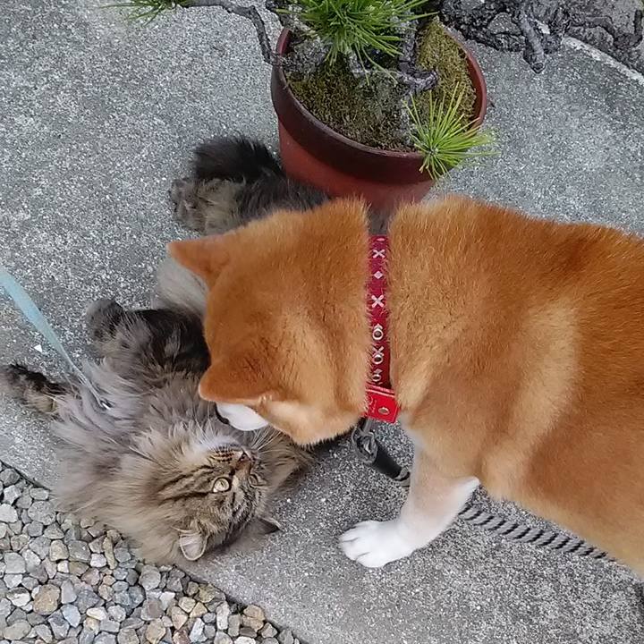 A5ea36de 0bf1 40c2 9693 501133628877 1652959707293