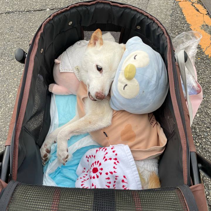 A5ea3df8 b600 4733 9703 7a6d8ee89e90 1669805953145