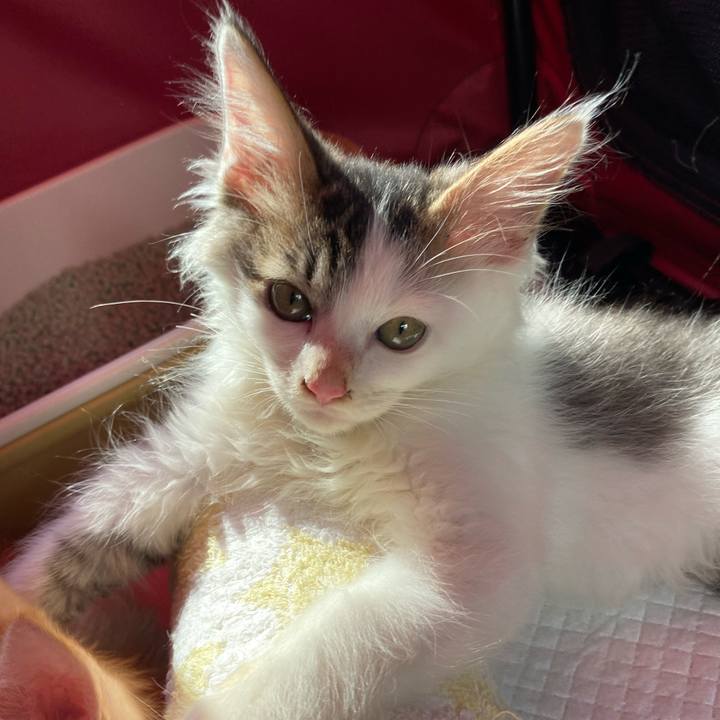 A5ea419d 8770 47bf 83a6 2231fb7d2c67 1630308637320