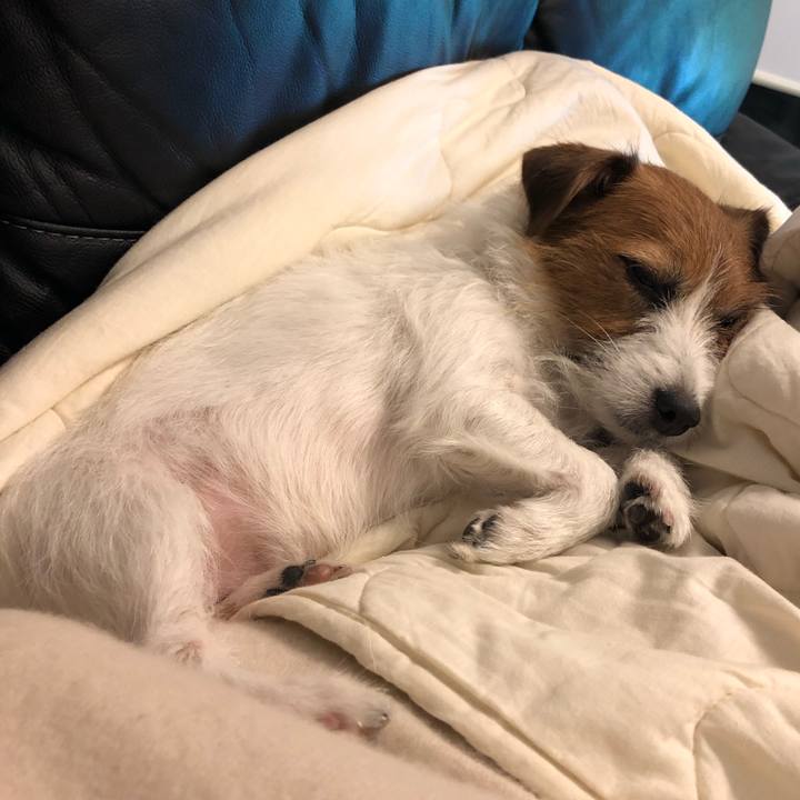 A5ea4504 51da 434d a9cb b5f5e4785fa6 1573834937491