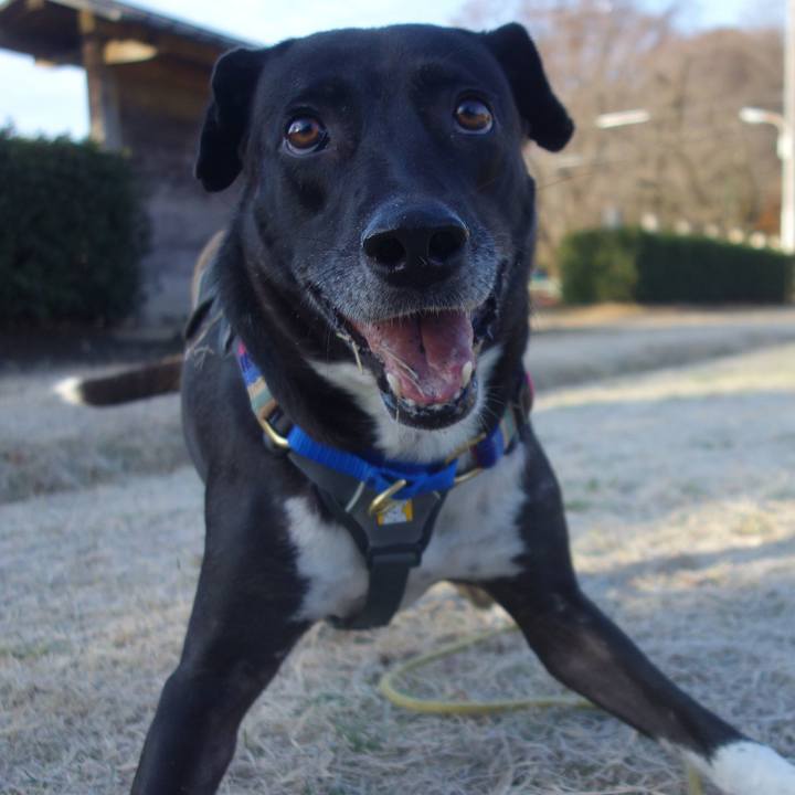 A5ea4a7d df7a 40e3 b9b1 a39a0107dab6 1639616244289