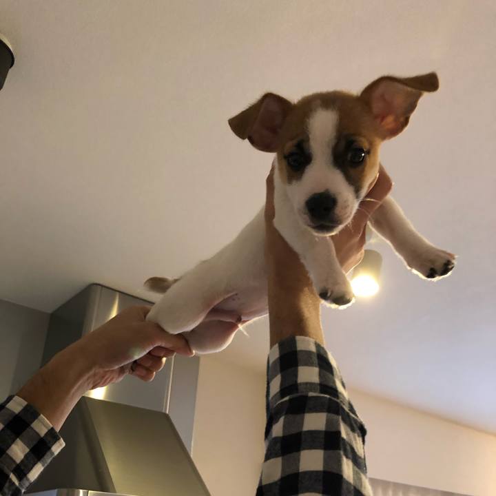 A5ea4a81 e7b9 4d7e 86a4 c3f194b65ba1 1545443810018