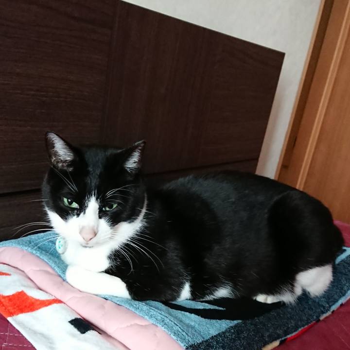 A5ea56a8 7622 4e8b ad81 6fae8ed9a95f 1643431964275