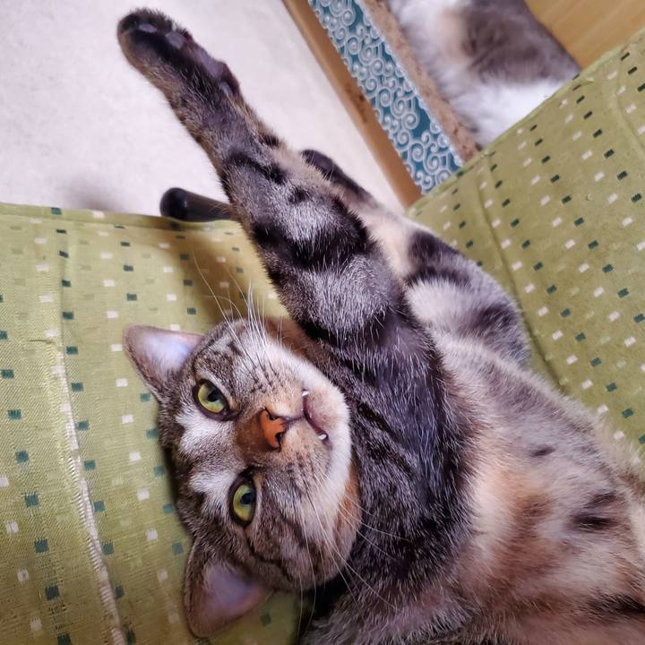 A5ea8008 aaaa 427d 8d86 8f0b26acb5fe 1703849827771