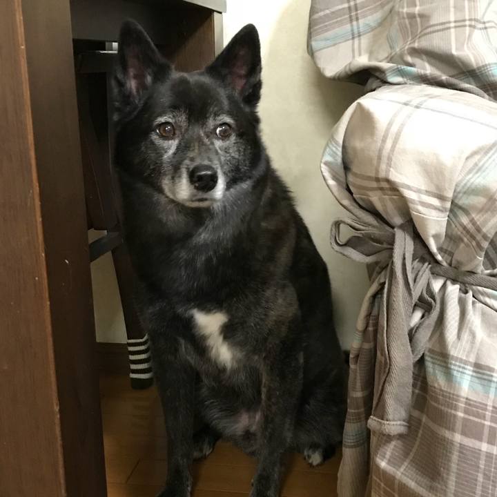 A5ea92f4 0cd4 4e2e 8a84 877b763075ad 1523968512657