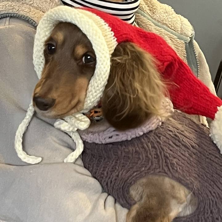 A5eab175 bd28 46f1 8cc4 eef8ad30835e 1735103287032