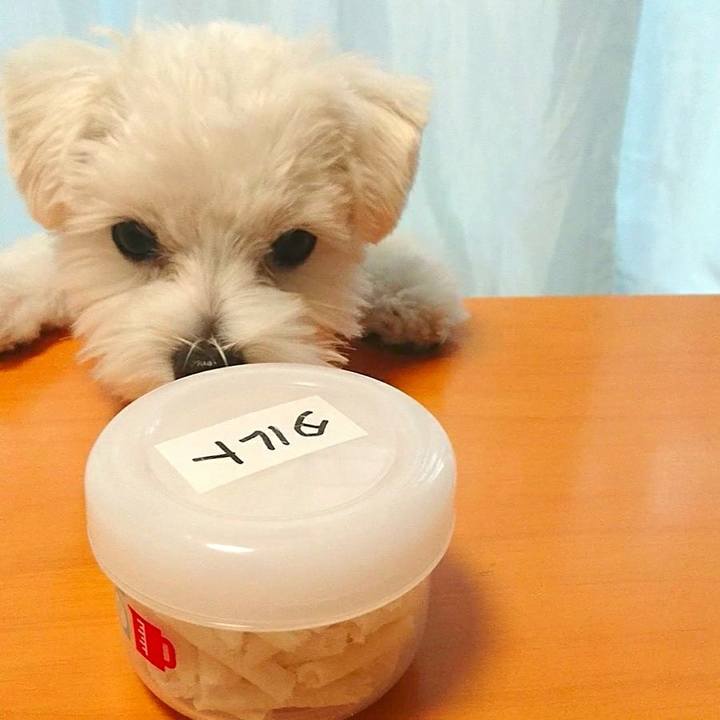 A5eab1a9 6b17 4575 bfb4 f05d9e94ed8e 1513669482023