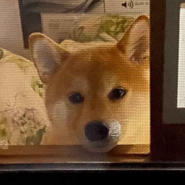 A5eac1e3 ff49 45d9 b265 d811d4d9e700 1599830536571