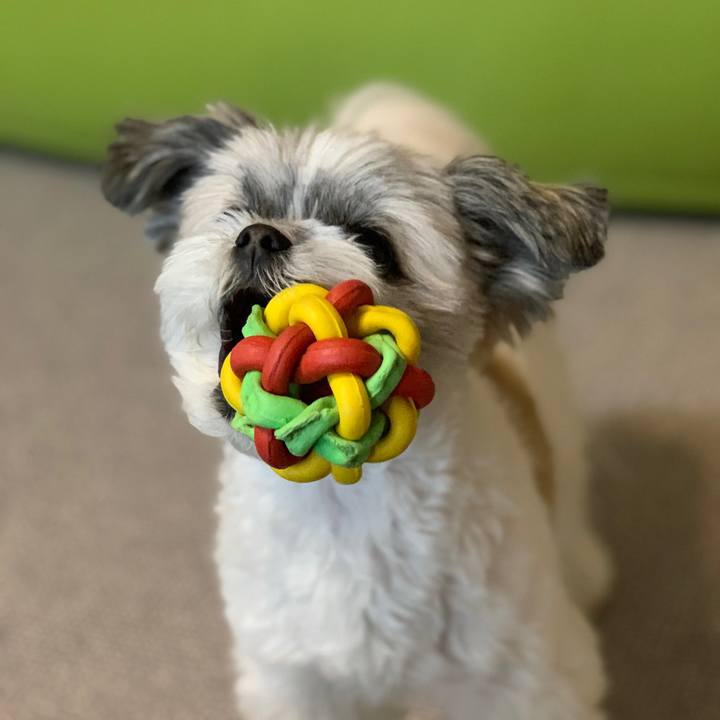 A5eac5b1 c938 45ea ac02 be6b2d399848 1579744970658