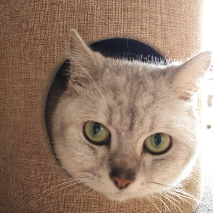 A5eac966 0a2c 47f9 8187 dc9559d04ba1 1513136050642