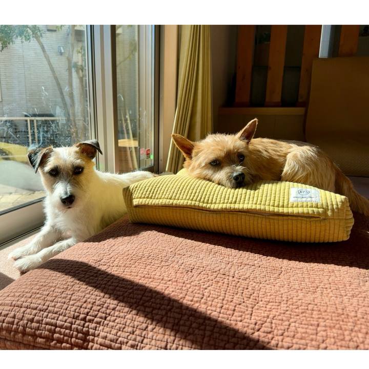 A5eaccfb 643f 4a77 b7e4 40787ac53bb4 1739681702091