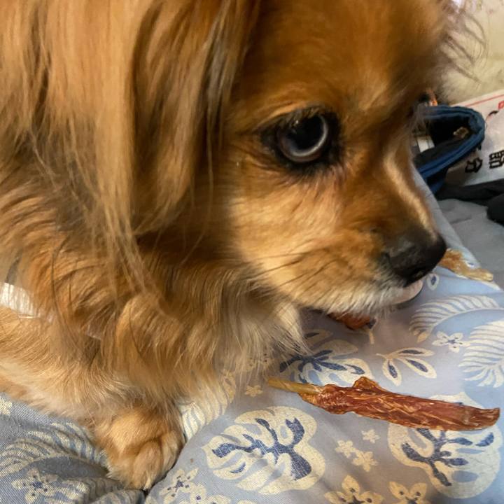 A5eada8b 6e4c 41c6 a45f 4b59bad4028c 1612648496336