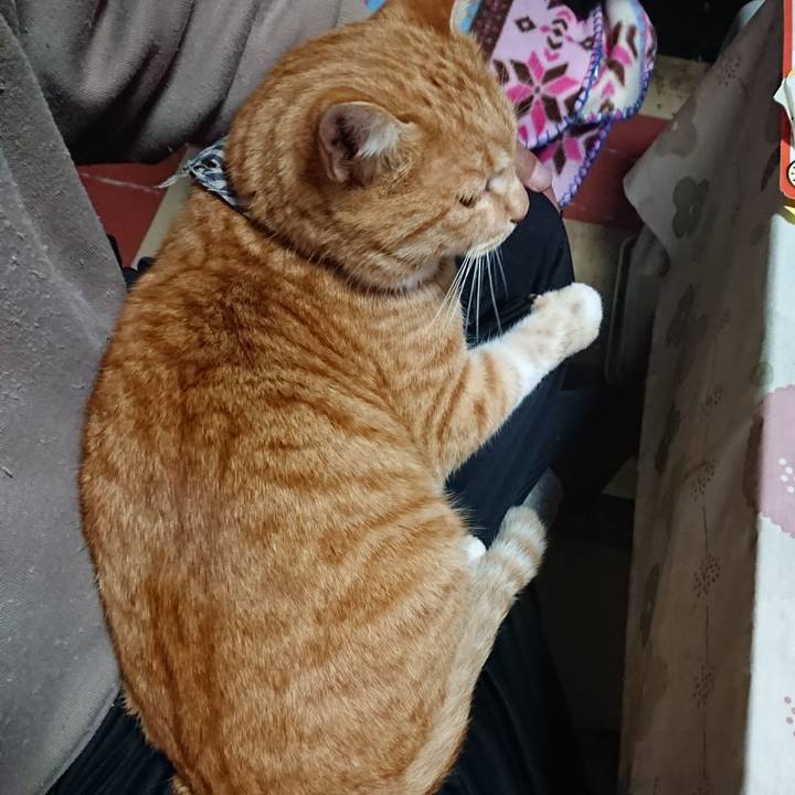 A5eaeed5 ffdf 47dd 930c 27fb5966a36b 1574465713338