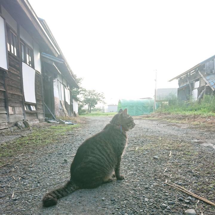 A5eb29c6 17ba 4c56 b238 db7893b226f9 1659042150959