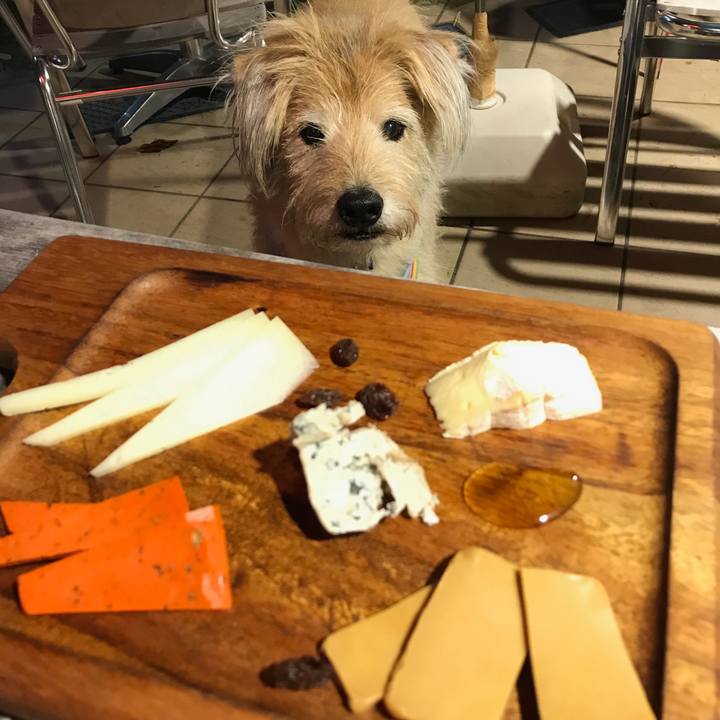 A5eb315b 2a44 4a1a b532 e0039bdda8b9 1567391890371