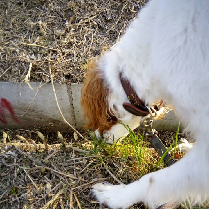 A5eb3be7 ee21 4338 8ef5 dd512c517f4d 1519115084974