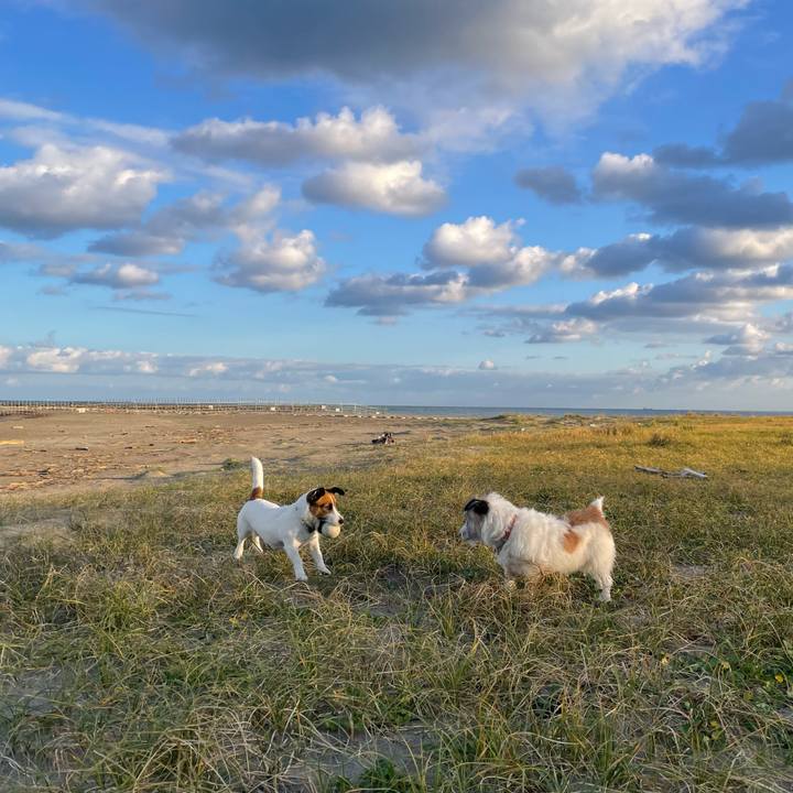 A5eb6735 2a6e 446a 8e0f 18aba0717e0a 1729811850306