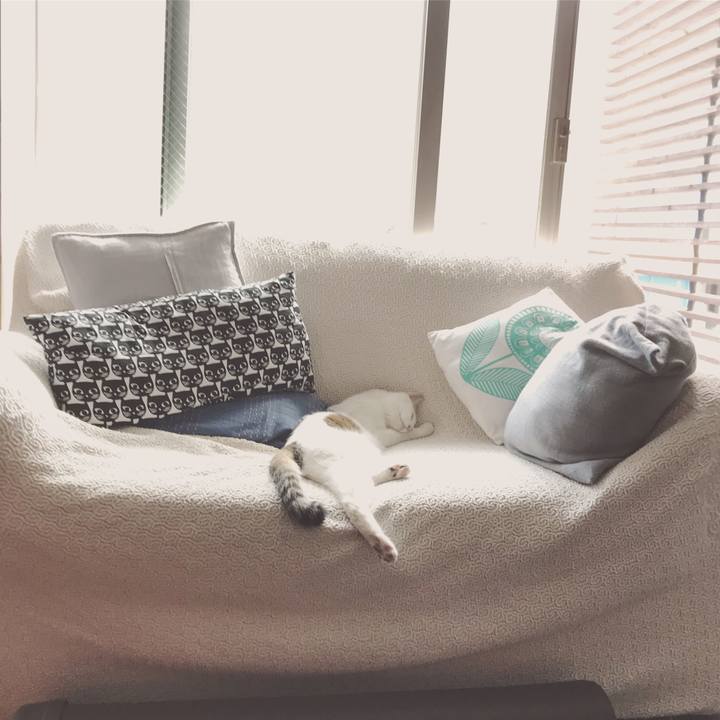 A5eb6ea8 2b2d 48dc a87f c6aefd8c0f42 1527340807927