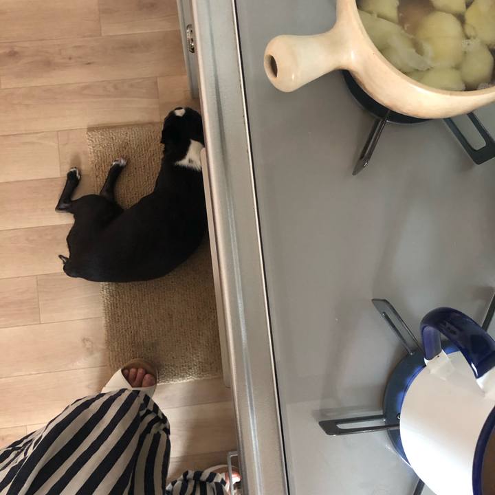 A5eba20e 81b2 44e5 bf22 a3dd3897f7d7 1721260708662