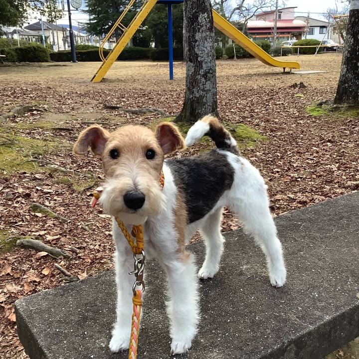 A5ebb206 f794 458f 872e d645b115b79f 1767179836290