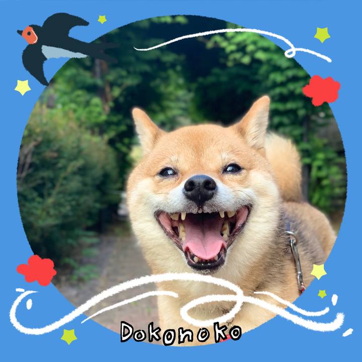A5ebb8c3 524e 40cc 9998 a1b9b46c4a9f 1779960878350