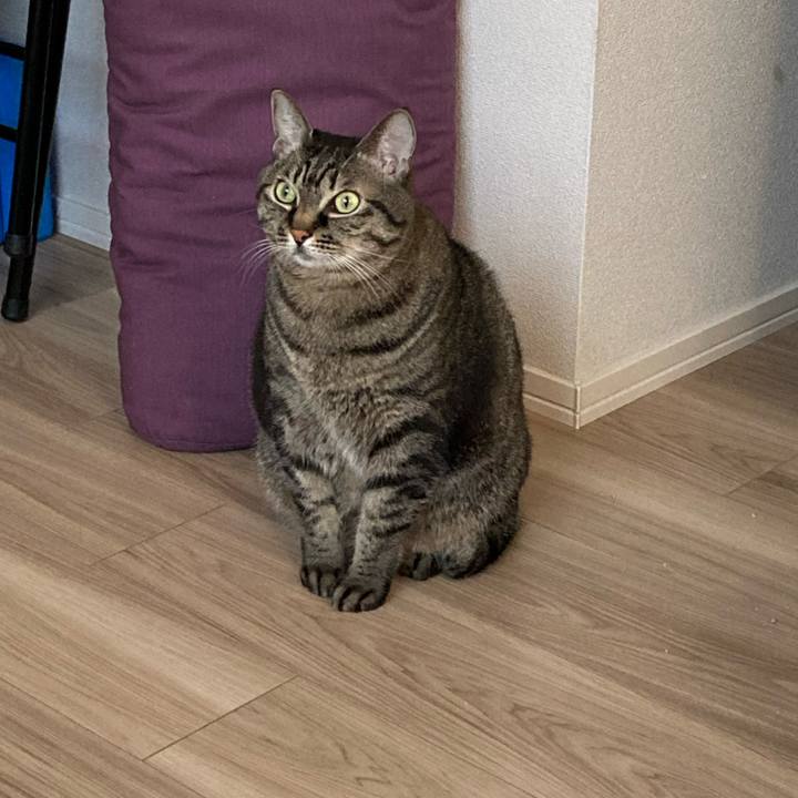 A5ebc53f e032 4915 aafc f769076655a3 1667894450207