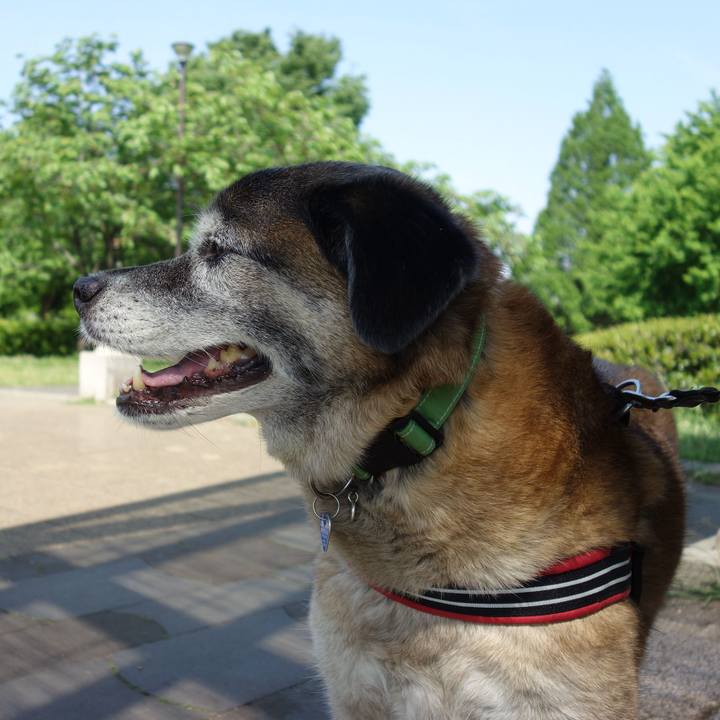 A5ebd31c c814 45ac ae2a 4a914f60e8d3 1557537233234