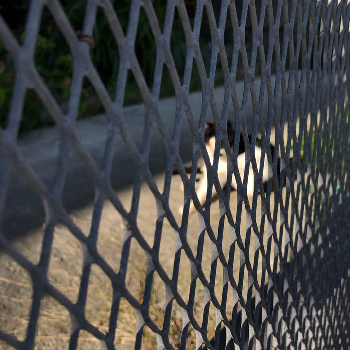 A5ec5645 70b1 49e6 bab9 18fe686de704 1603576045812