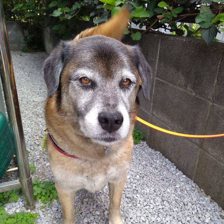 A5ecb894 a0a9 49c4 bb31 ba7e968ad7c2 1557964280792