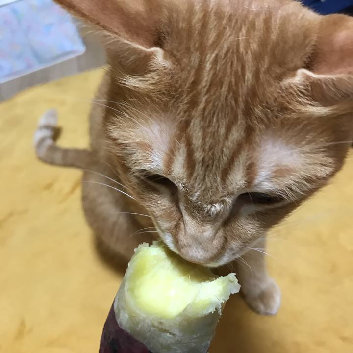 A5ecc005 7d72 4253 b533 ff971db261ea 1536825719228